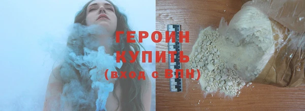 гидра Горняк